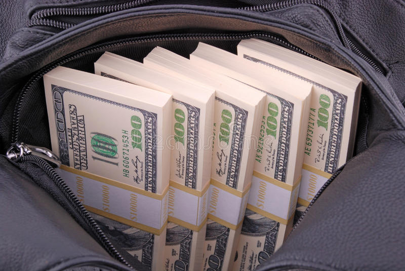 Семья из США нашла на дороге сумки с миллионом долларов