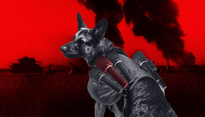 Собаки войны: исторический очерк